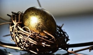 A golden egg in a bird nest. Your future nest egg. Gold Golden Egg Financial.